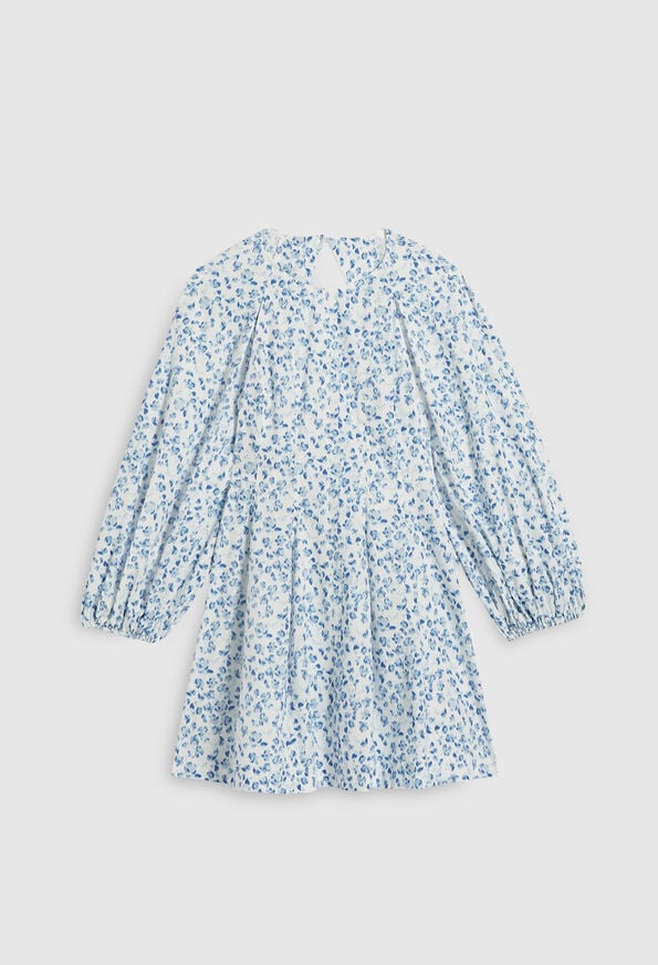 221ROMAN 221ROMAN : Kleider farbe PRINT CLAIR