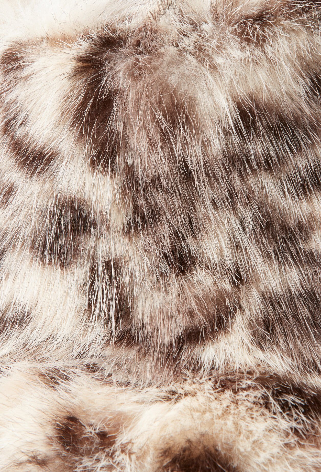Bob Leopard