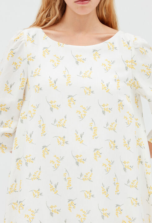 Rififi-Kleid, Mimose