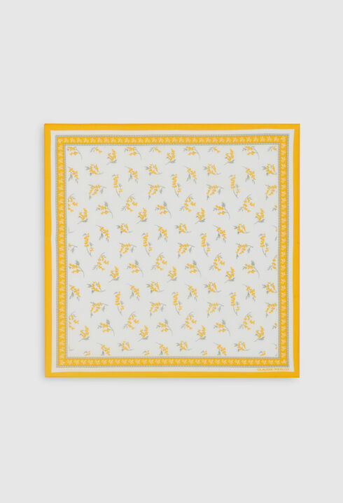 Bandana, Mimose