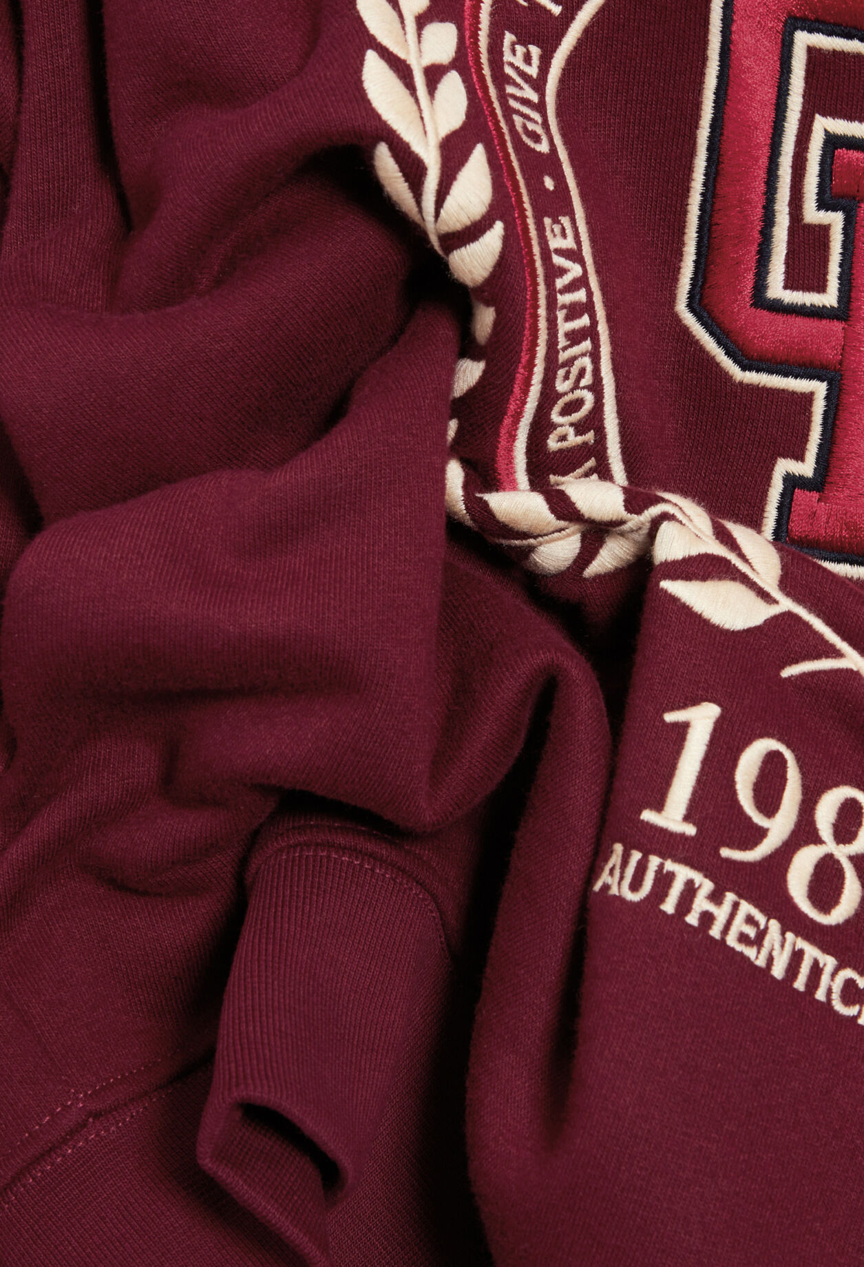 Sweatshirt aus Baumwolle mit Kapuze